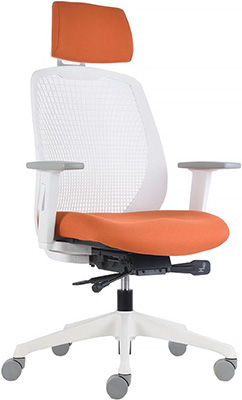sillón ejecutivo con respaldo de polipropileno nylon con cabecera y descansa brazos ajustables y mecanismo auto regulable